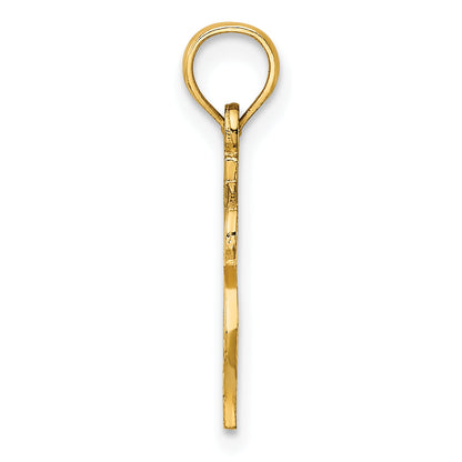 10K Yellow Gold 10K Dollar Sign Charm