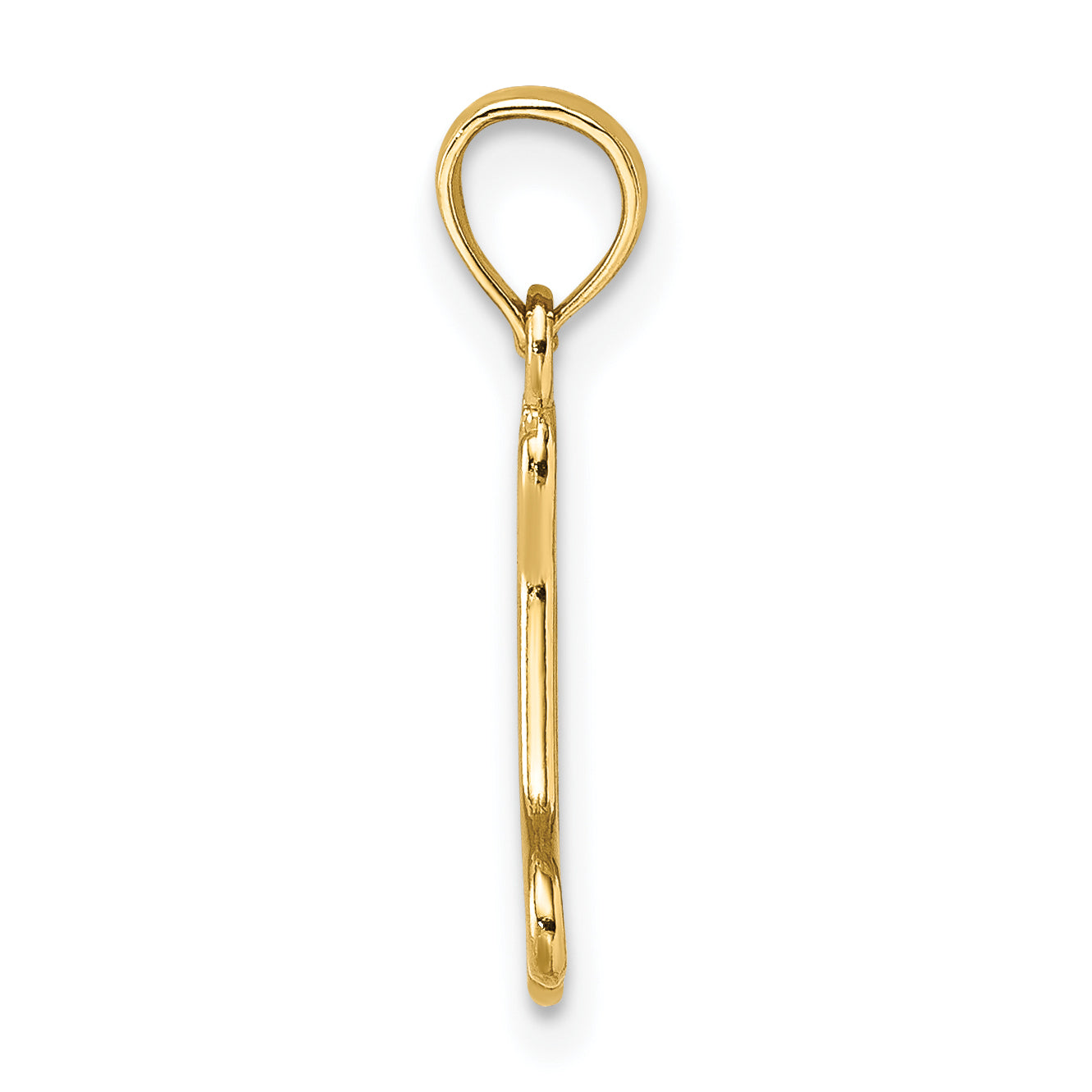 10K Yellow Gold 10K Cut-Out Polished Mini Dog Bone Charm