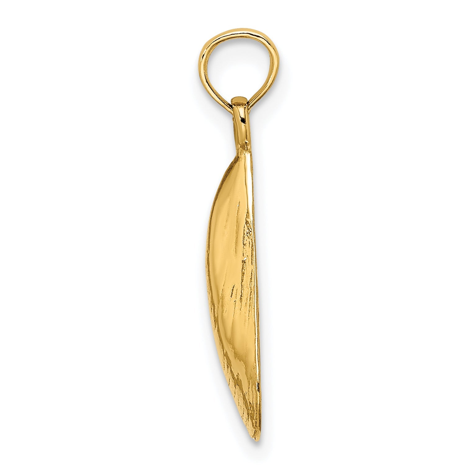 10K Yellow Gold 10K 2-D Polished Mussel Shell Charm