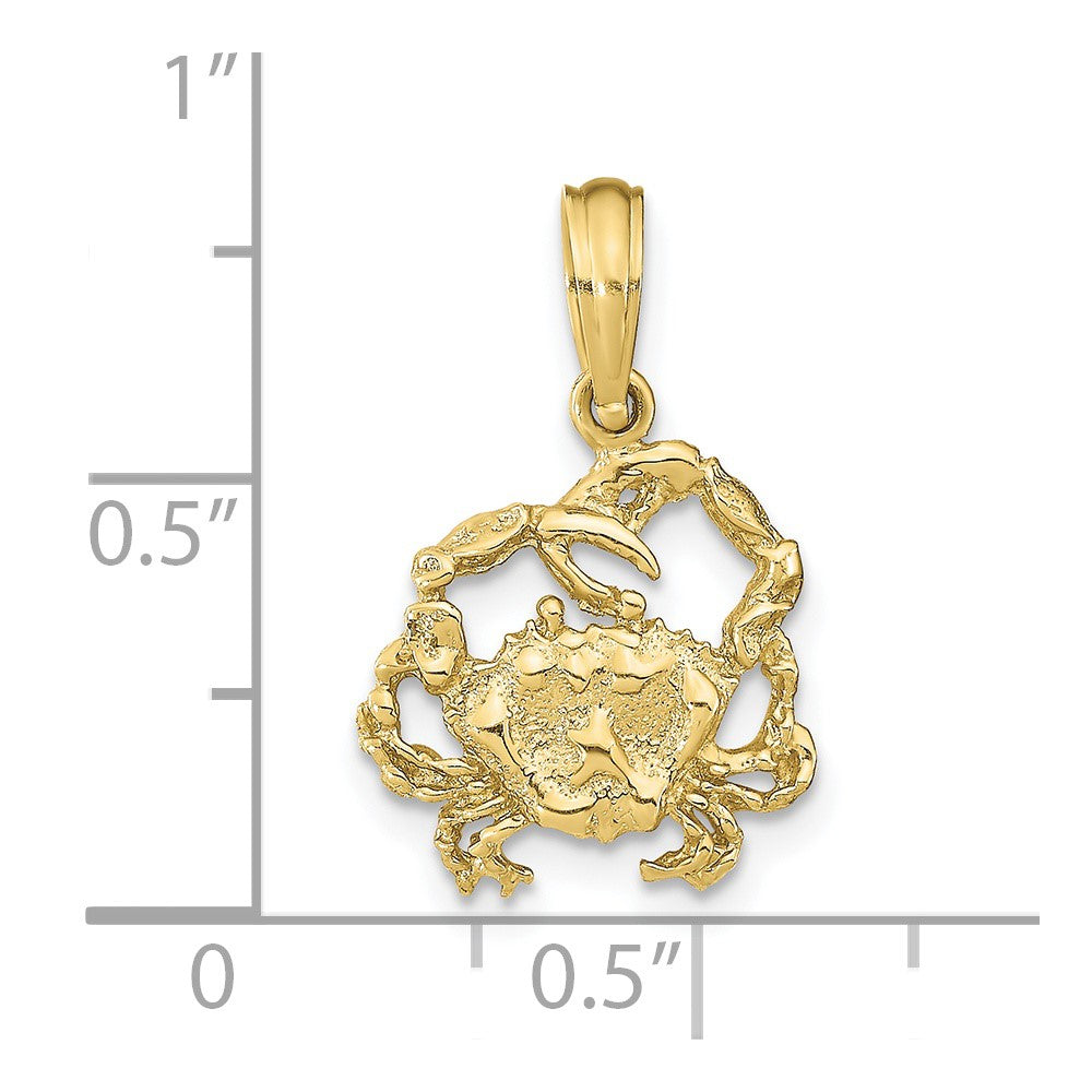 10K Yellow Gold 10K 2-D Textured Crab Charm