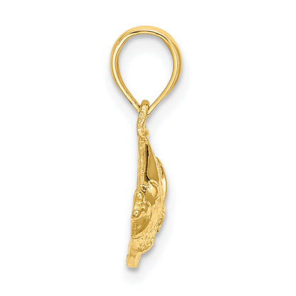 10K Yellow Gold 10K Polished Textured Fish Charm