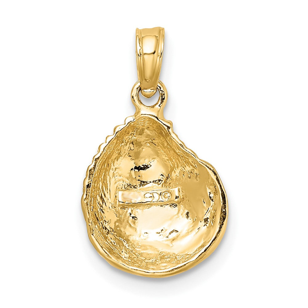 10K Yellow Gold 10K Clam Shell Charm