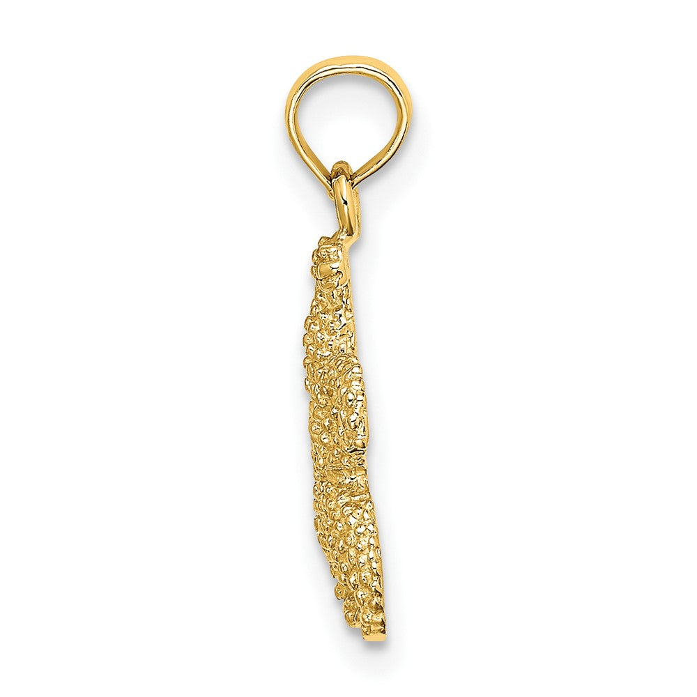 10K Yellow Gold 10K Puffed Starfish Charm