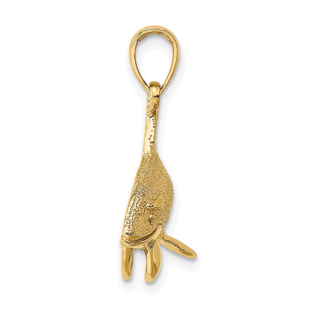 10K Yellow Gold 10K 2-D Textured Orca Whale Charm