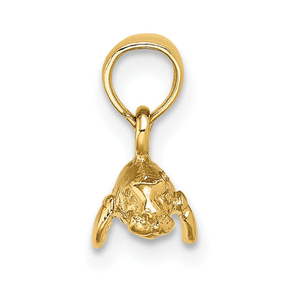 10K Yellow Gold 10K 3-D Polished Mini Manatee Charm
