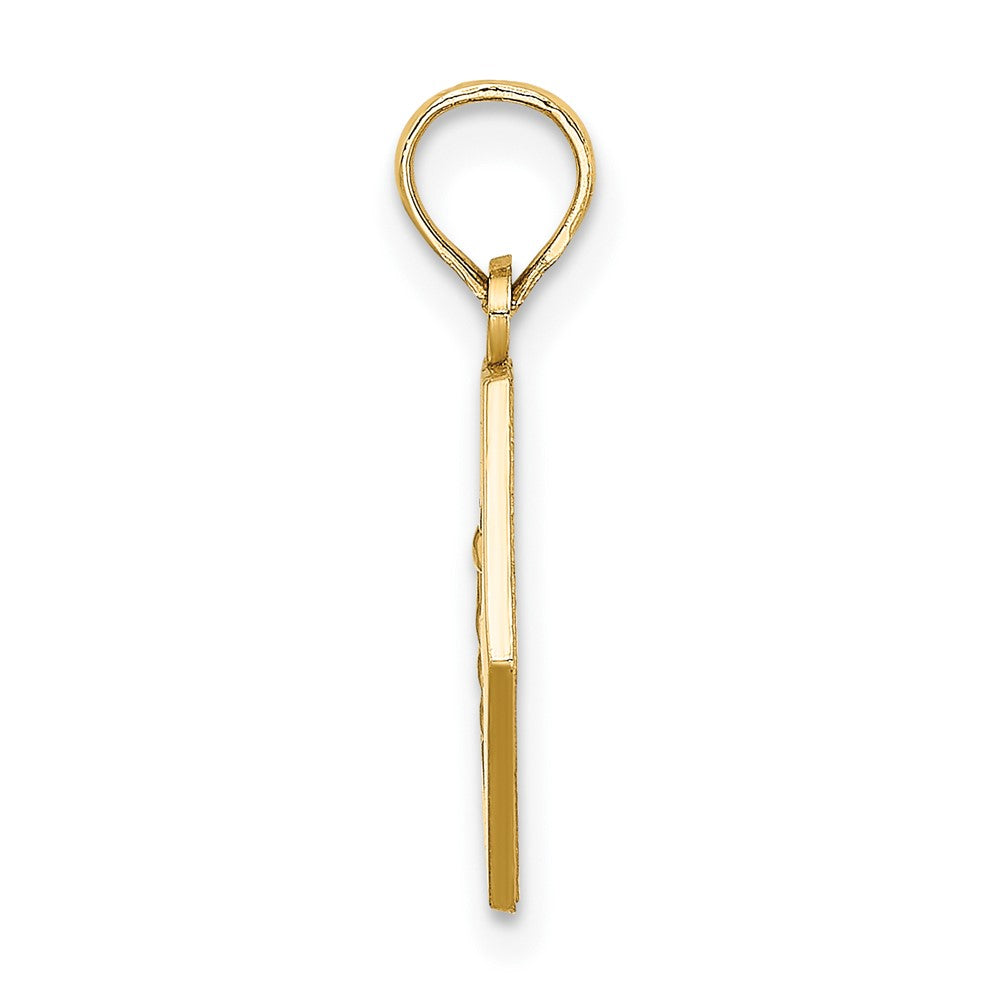 10K Yellow Gold Medical Disc Pendant