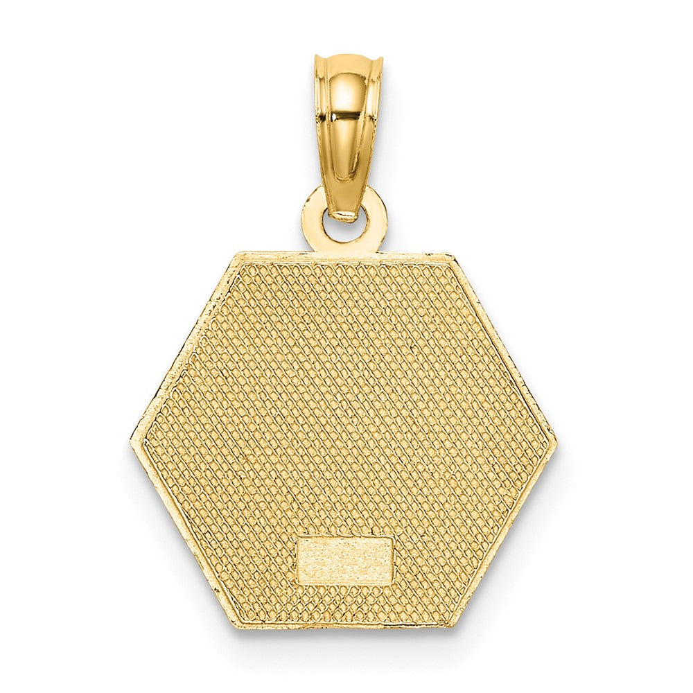 10K Yellow Gold Medical Disc Pendant