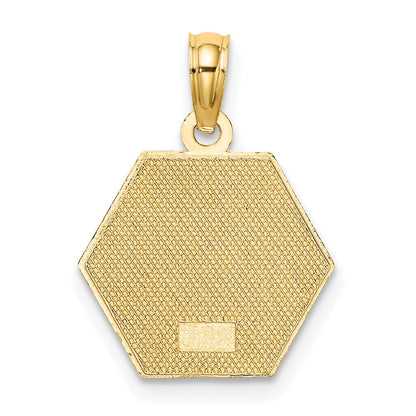 10K Yellow Gold Medical Disc Pendant