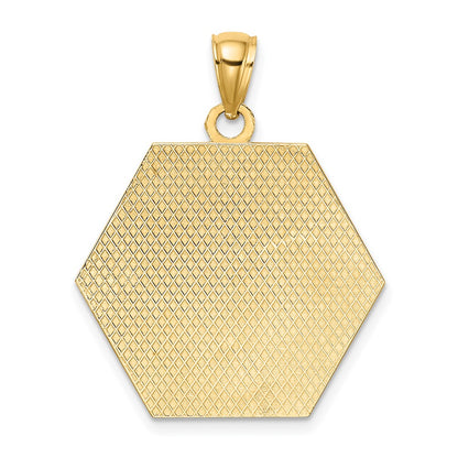 10K Yellow Gold Medical Disc Pendant