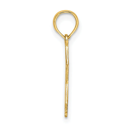 10K Yellow Gold 10K Polished Star Of David Charm