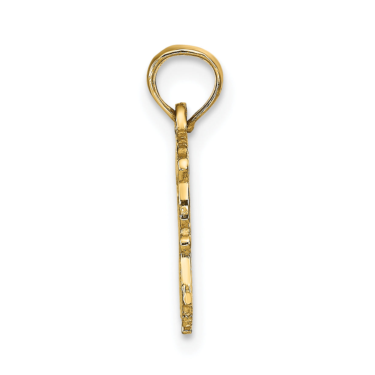 10K Yellow Gold 10K Aquarius Zodiac Charm