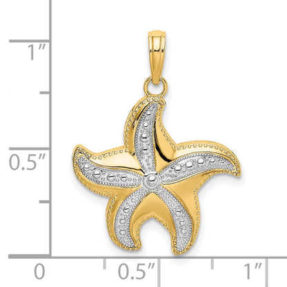 10K Yellow W/Rhodium 10K D/C Polished Starfish Charm