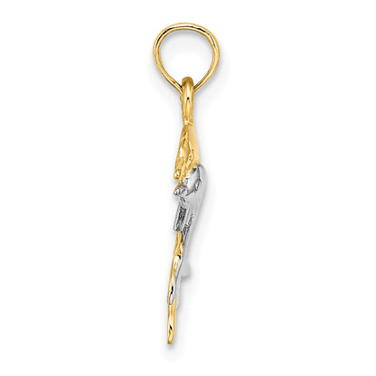 10K Yellow W/Rhodium 10K W/ Rhodium 2-D Polished Dolphins Charm