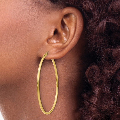 10K Yellow Gold Polished Hinged Hoop Earrings