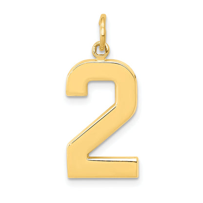 10K Yellow Gold Large Polished Number 2 Charm