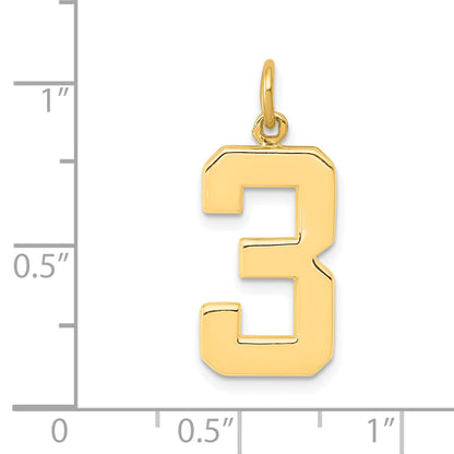 10K Yellow Gold Large Polished Number 3 Charm