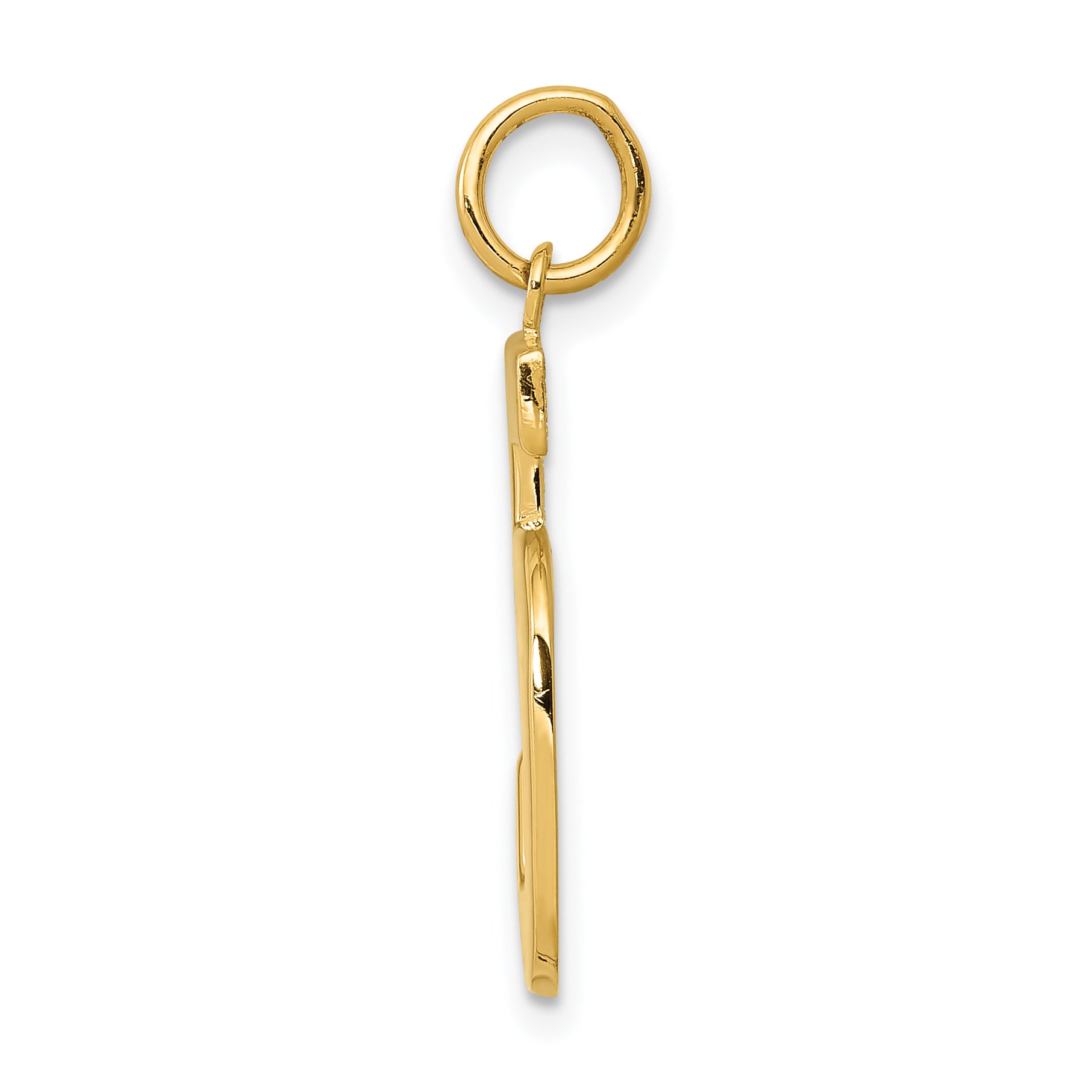 10K Yellow Gold Large Polished Number 5 Charm