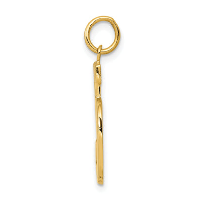 10K Yellow Gold Large Polished Number 5 Charm