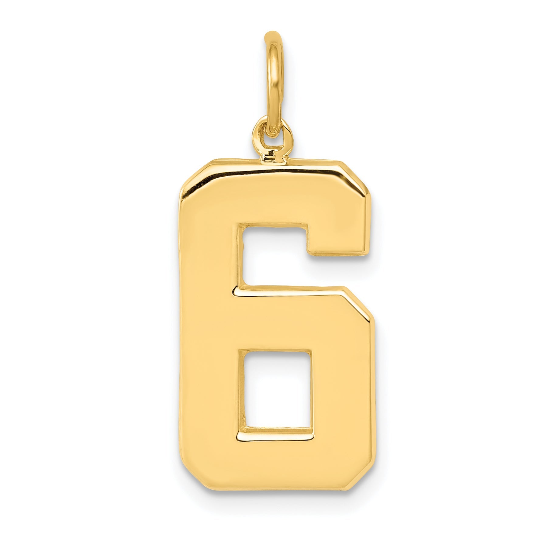 10K Yellow Gold Large Polished Number 6 Charm