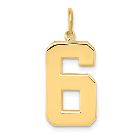 10K Yellow Gold Large Polished Number 6 Charm