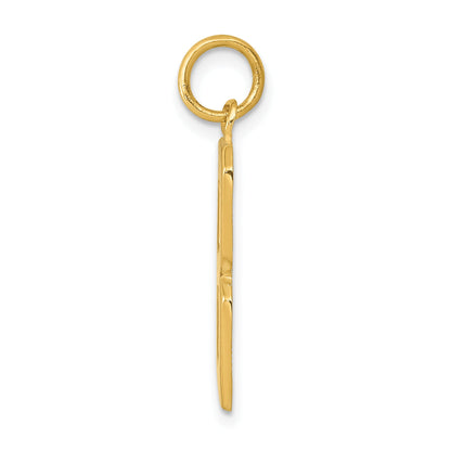 10K Yellow Gold Large Polished Number 8 Charm