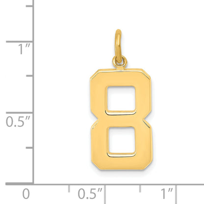 10K Yellow Gold Large Polished Number 8 Charm