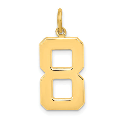 10K Yellow Gold Large Polished Number 8 Charm
