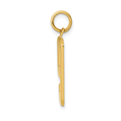 10K Yellow Gold Large Polished Number 9 Charm