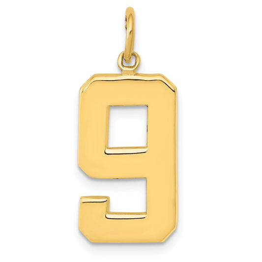 10K Yellow Gold Large Polished Number 9 Charm