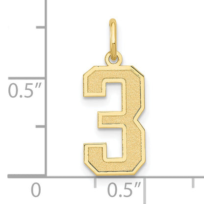 10K Yellow Gold Medium Satin Number 3 Charm