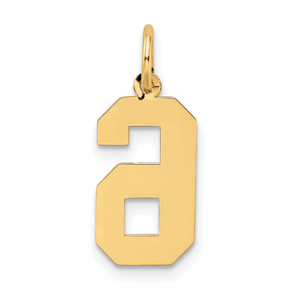 10K Yellow Gold Medium Satin Number 6 Charm