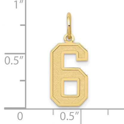 10K Yellow Gold Medium Satin Number 6 Charm