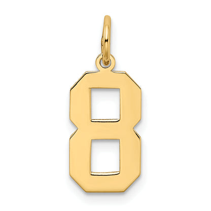 10K Yellow Gold Medium Satin Number 8 Charm