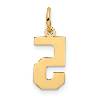 10K Yellow Gold Small Satin Number 5 Charm