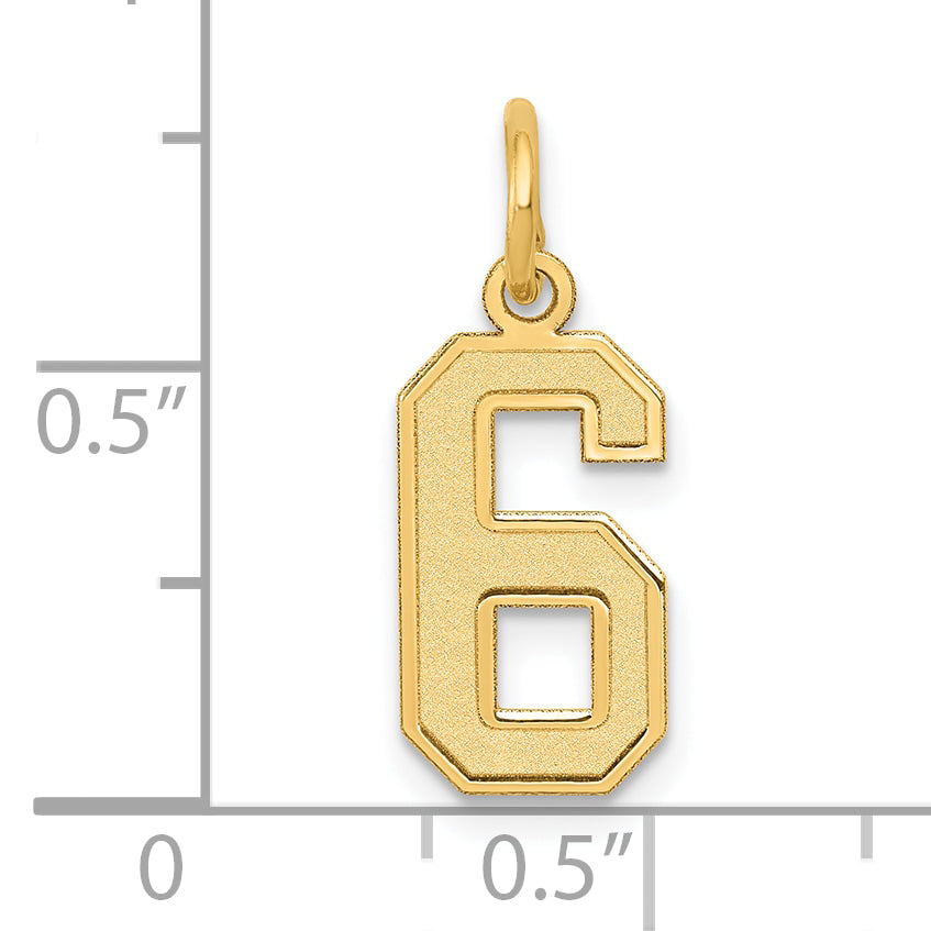 10K Yellow Gold Small Satin Number 6 Charm