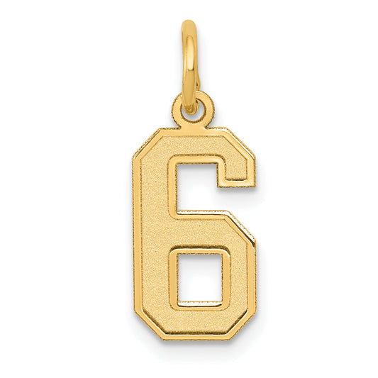 10K Yellow Gold Small Satin Number 6 Charm