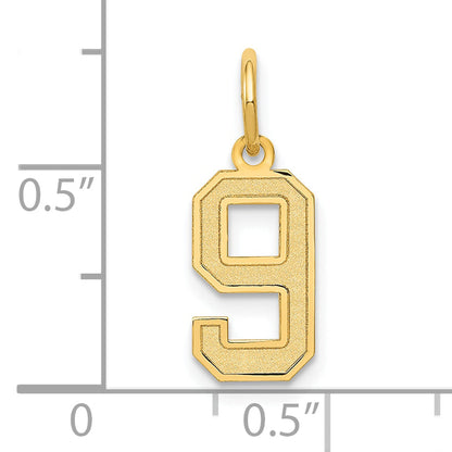 10K Yellow Gold Small Satin Number 9 Charm