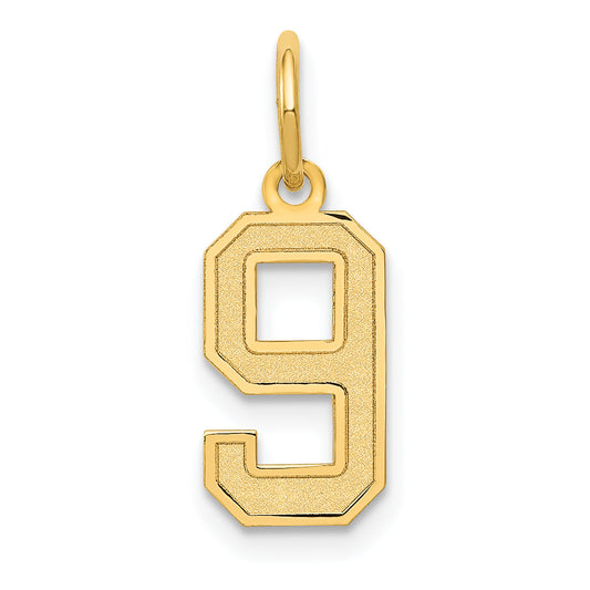 10K Yellow Gold Small Satin Number 9 Charm