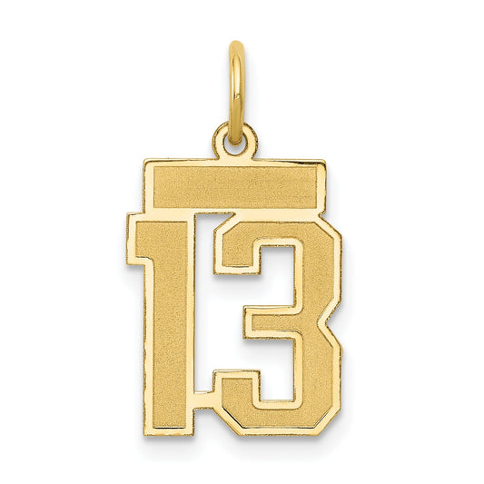 10K Yellow Gold 10Ky Small Satin Number 13 Charm