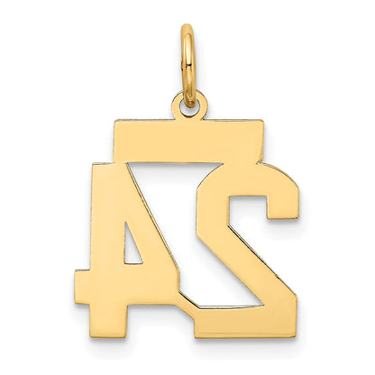 10K Yellow Gold Small Satin Number 24 Charm