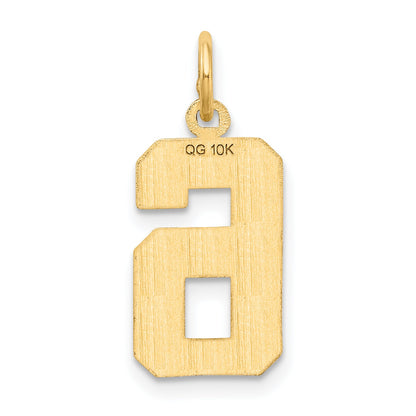 10K Yellow Gold 10Ky Casted Medium Diamond-Cut Number 6 Charm
