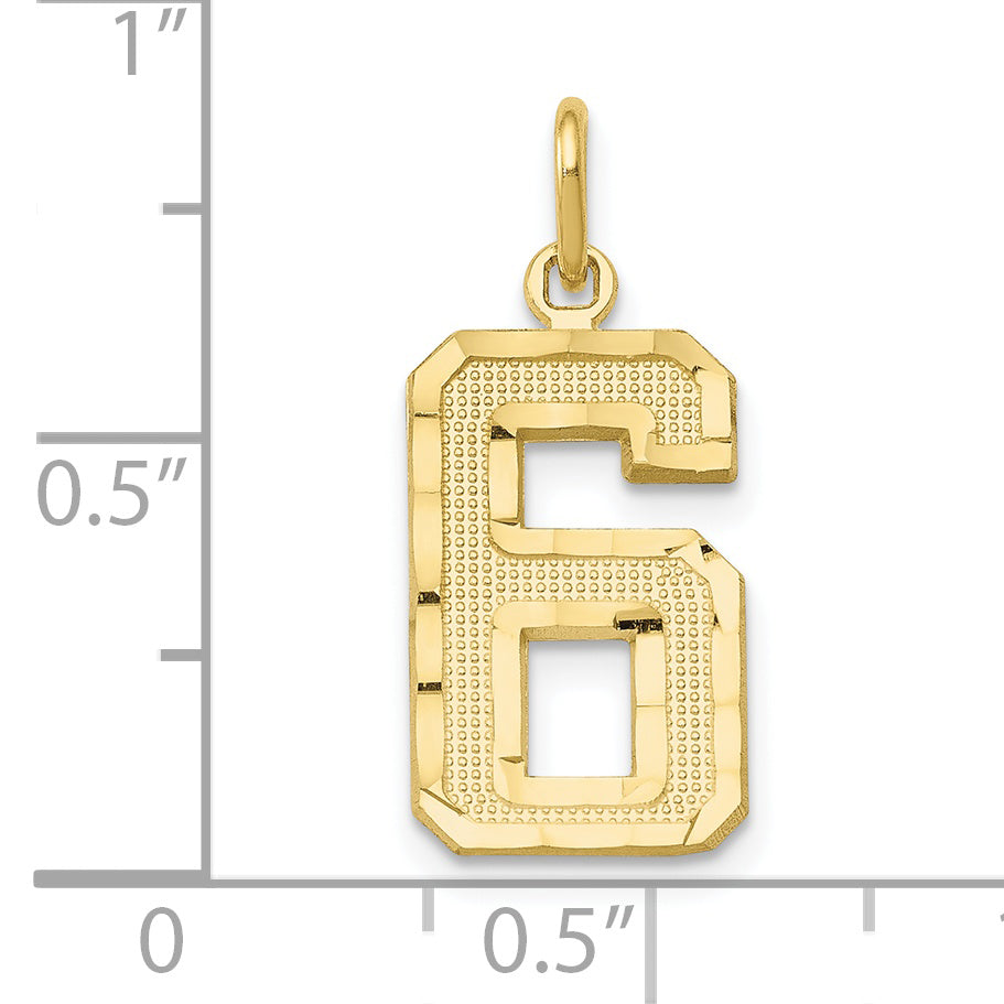 10K Yellow Gold 10Ky Casted Medium Diamond-Cut Number 6 Charm