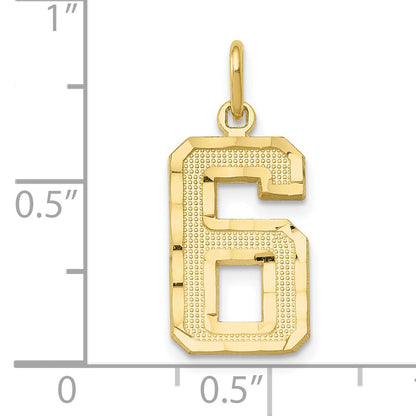 10K Yellow Gold 10Ky Casted Medium Diamond-Cut Number 6 Charm