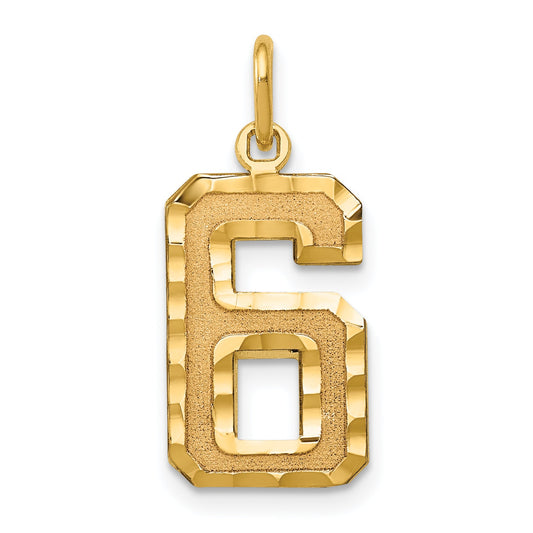 10K Yellow Gold 10Ky Casted Medium Diamond-Cut Number 6 Charm