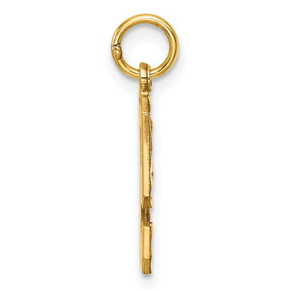 10K Yellow Gold 10Ky Casted Medium Diamond-Cut Number 9 Charm