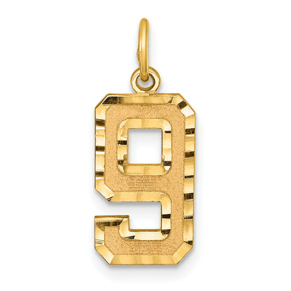 10K Yellow Gold 10Ky Casted Medium Diamond-Cut Number 9 Charm
