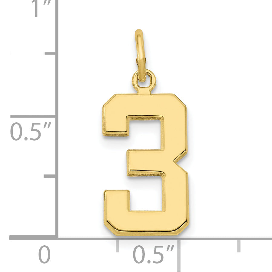 10K Yellow Gold Medium Polished Number 3 Charm