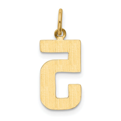 10K Yellow Gold Medium Polished Number 5 Charm