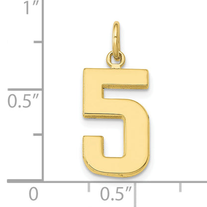 10K Yellow Gold Medium Polished Number 5 Charm