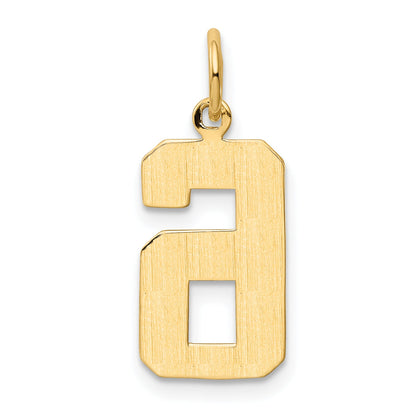 10K Yellow Gold Medium Polished Number 6 Charm
